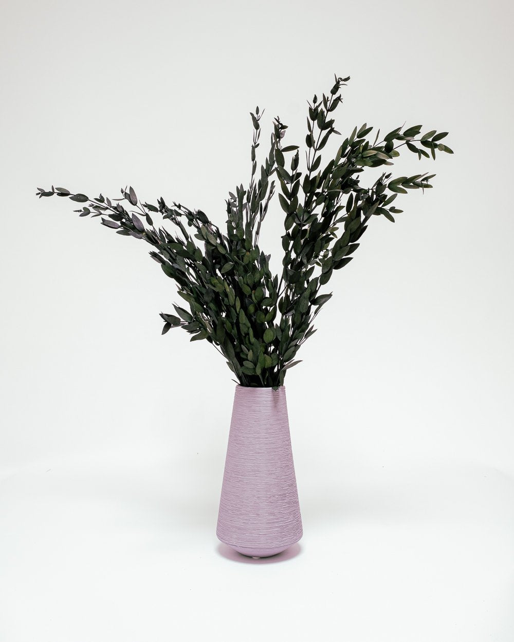 Eucalyptus Parvifolia Grön – Konserverade Växter, Flora Grossist, konserverade-blommor