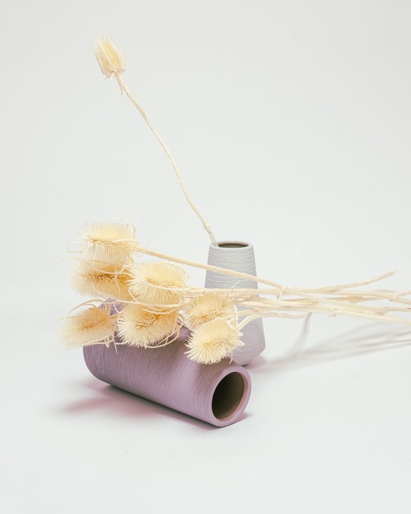 Cardoon Thistle Blekt Vit – Torkade Blommor, Flora Grossist, torkade-blommor