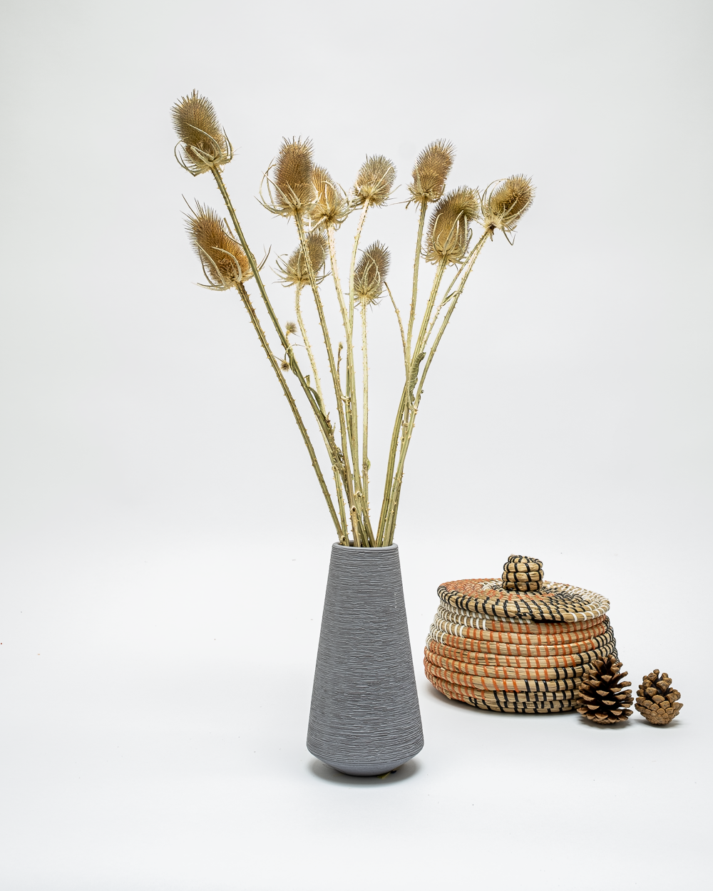 Kardon Naturell – Torkade Blommor, Flora Grossist, torkade-blommor