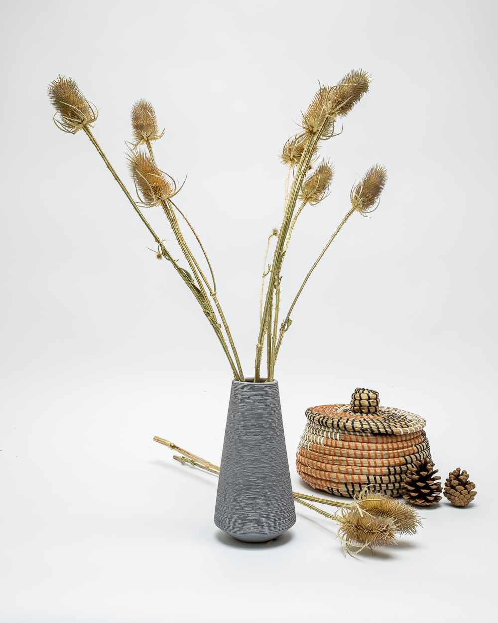 Kardon Naturell – Torkade Blommor, Flora Grossist, torkade-blommor