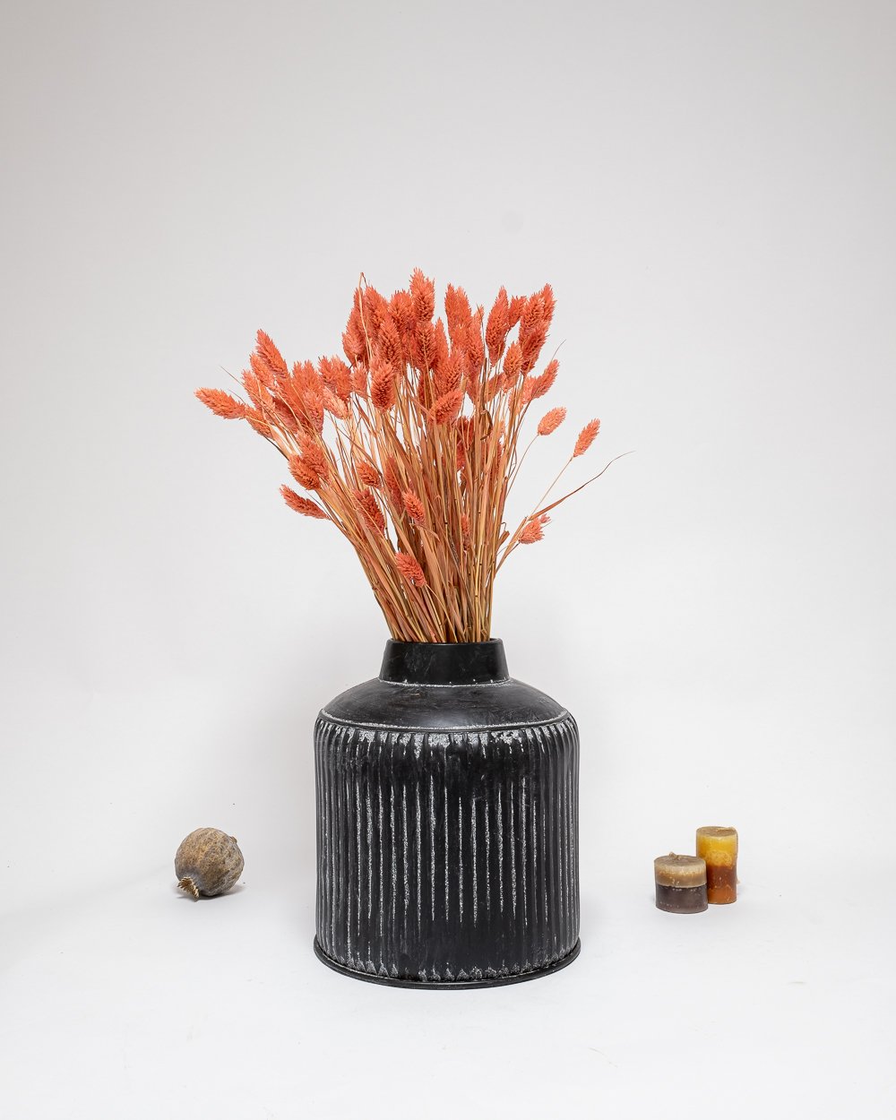 Phalaris Rosa – Torkade Blommor, Flora Grossist, torkade-blommor