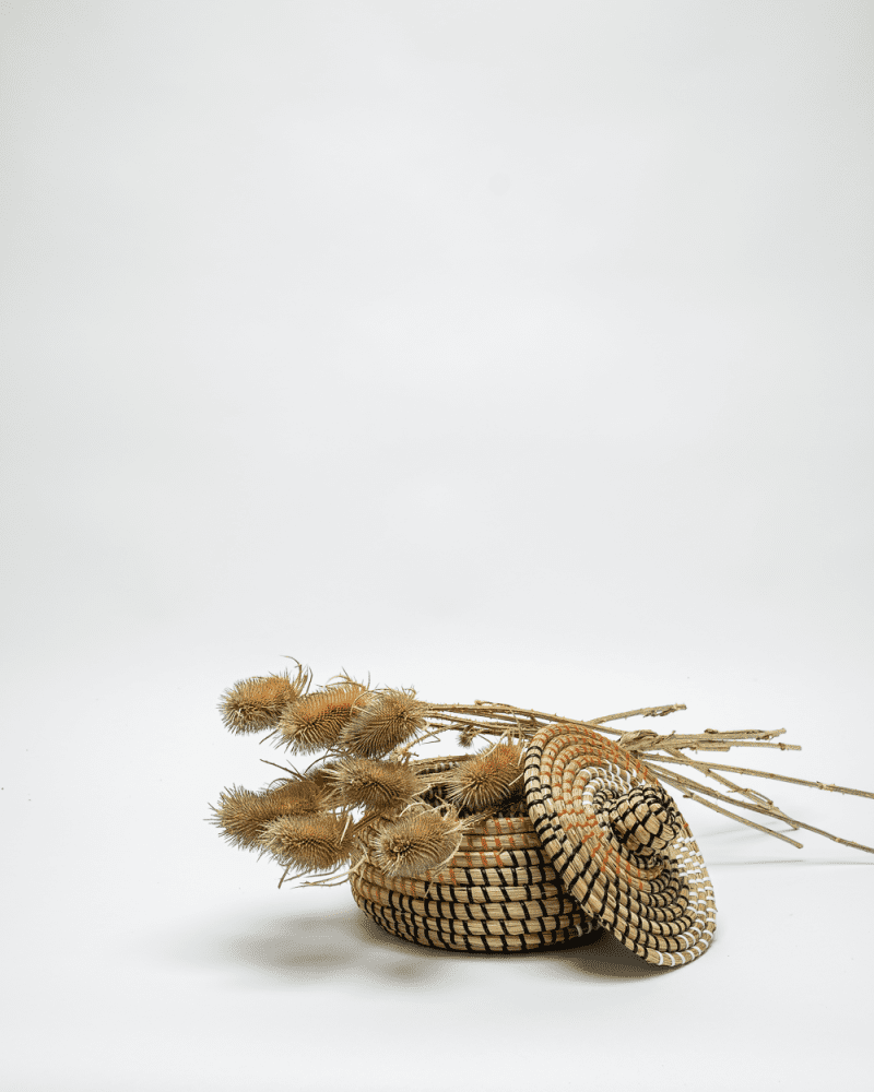 Kardon Naturell – Torkade Blommor, Flora Grossist, torkade-blommor