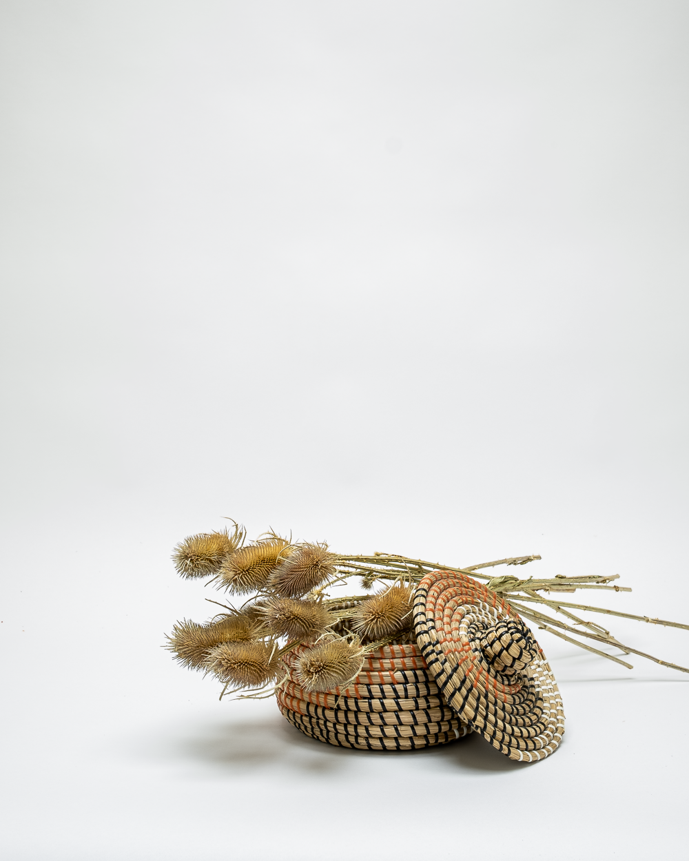 Kardon Naturell – Torkade Blommor, Flora Grossist, torkade-blommor