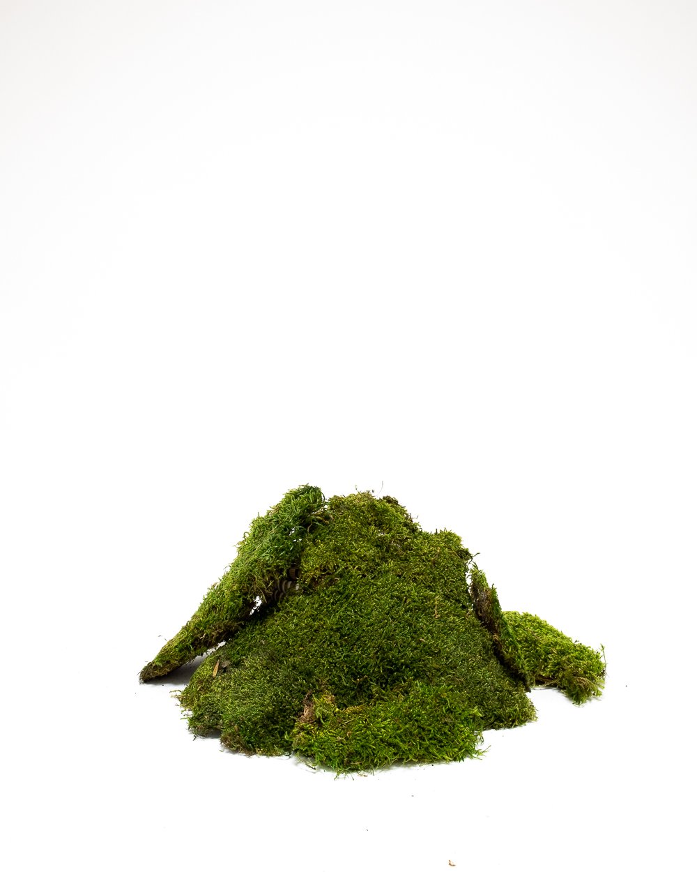 Mossplatta Grön 500 Gram – Konserverade Mossa, Flora Grossist, konserverade-blommor