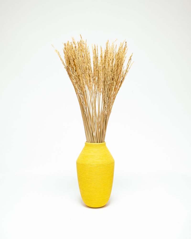 Ris Naturell – Torkade Blommor, Flora Grossist, torkade-blommor