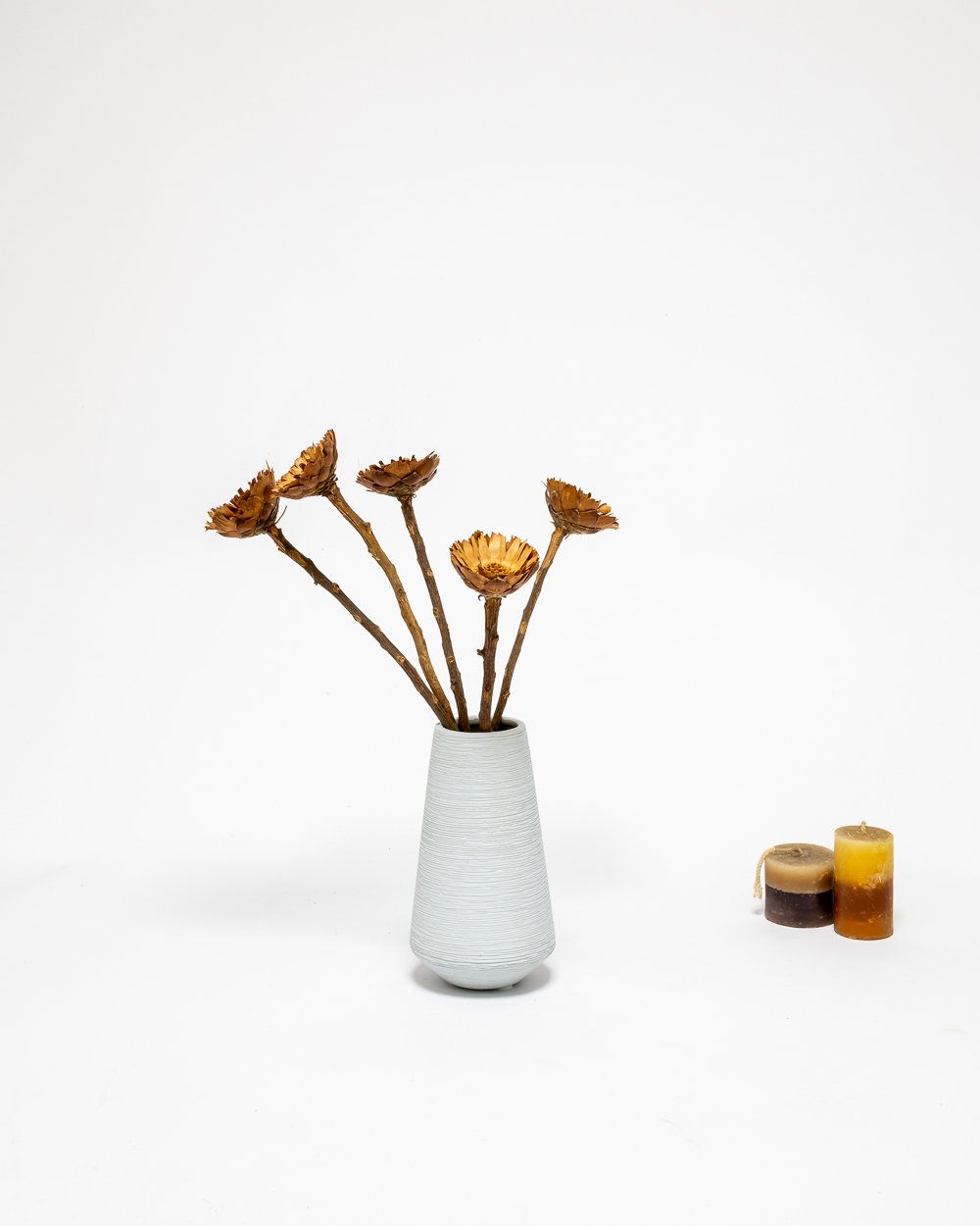 Protea Compacta Naturell – Torkade Blommor, Flora Grossist, torkade-blommor