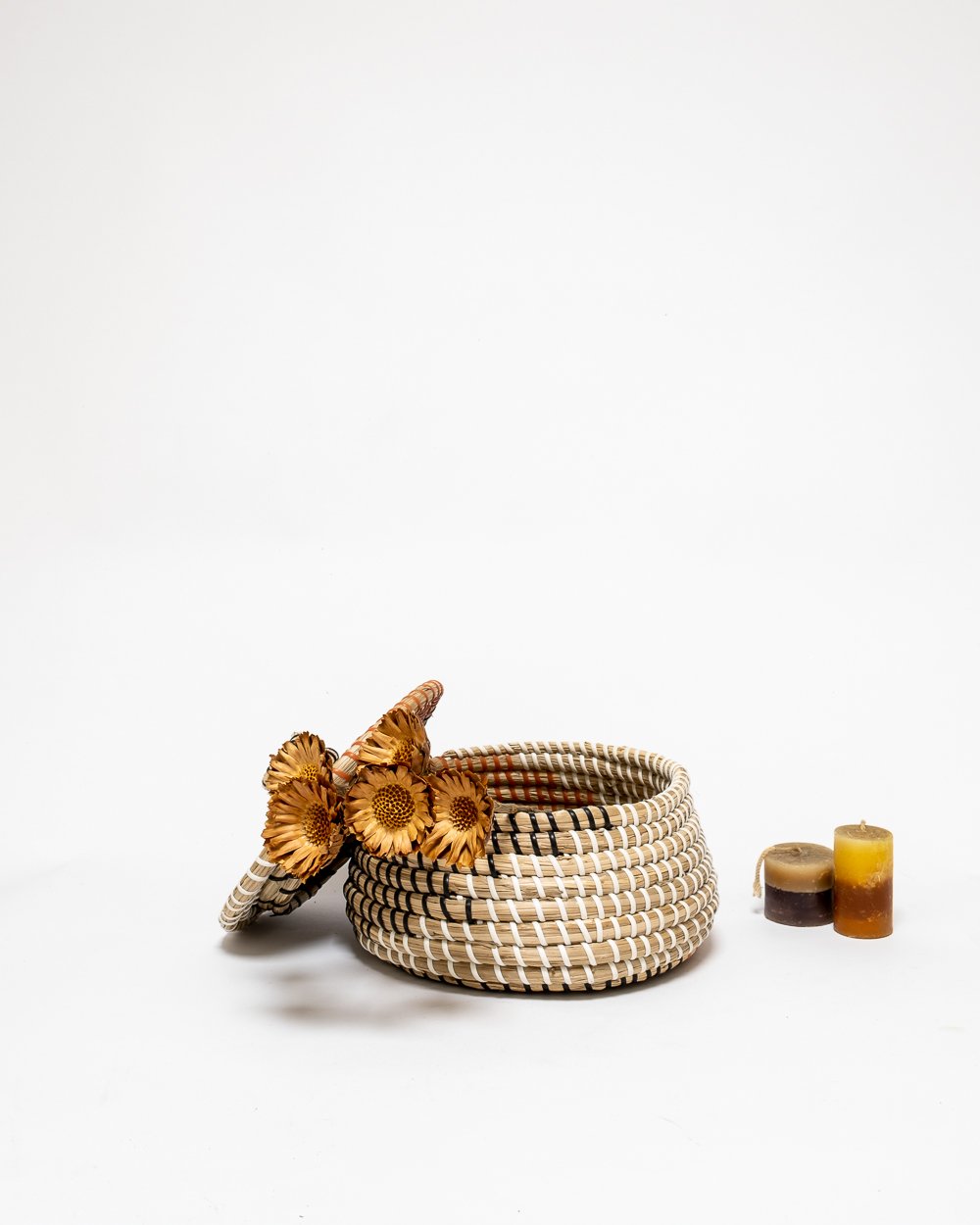 Protea Compacta Naturell – Torkade Blommor, Flora Grossist, torkade-blommor