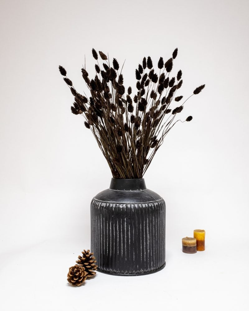 Phalaris Mörkbrun – Torkade Blommor, Flora Grossist, torkade-blommor