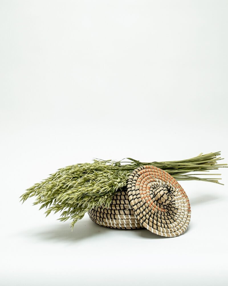 Havre Naturell – Torkade Blommor, Flora Grossist, torkade-blommor