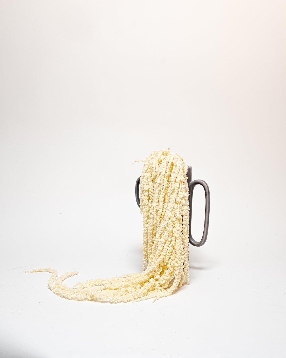 Amaranthus – Blekt Vit – Evighetsväxter, Flora Grossist, konserverade-blommor