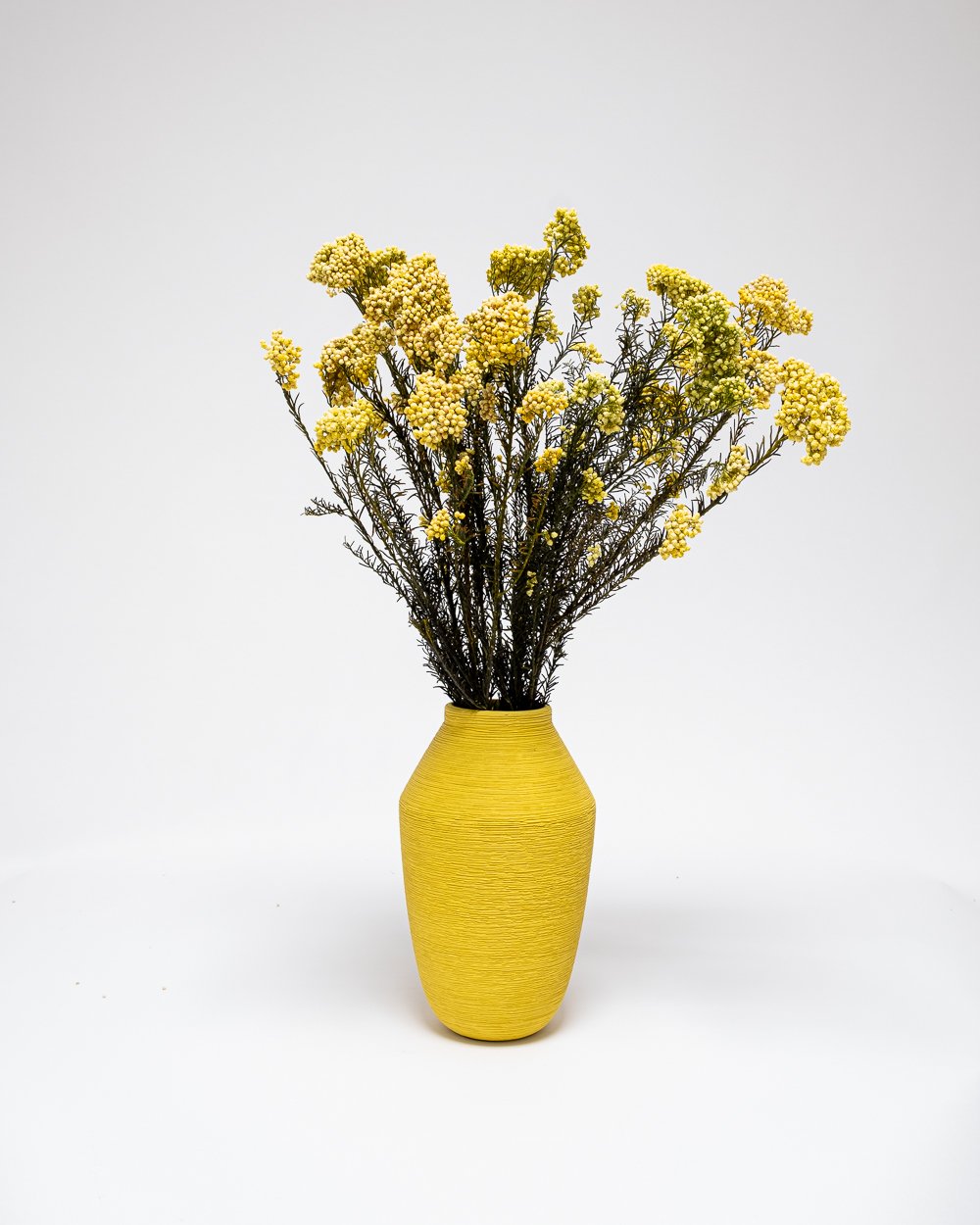 Diosmi Gul – Konserverade Blommor, Flora Grossist, torkade-blommor