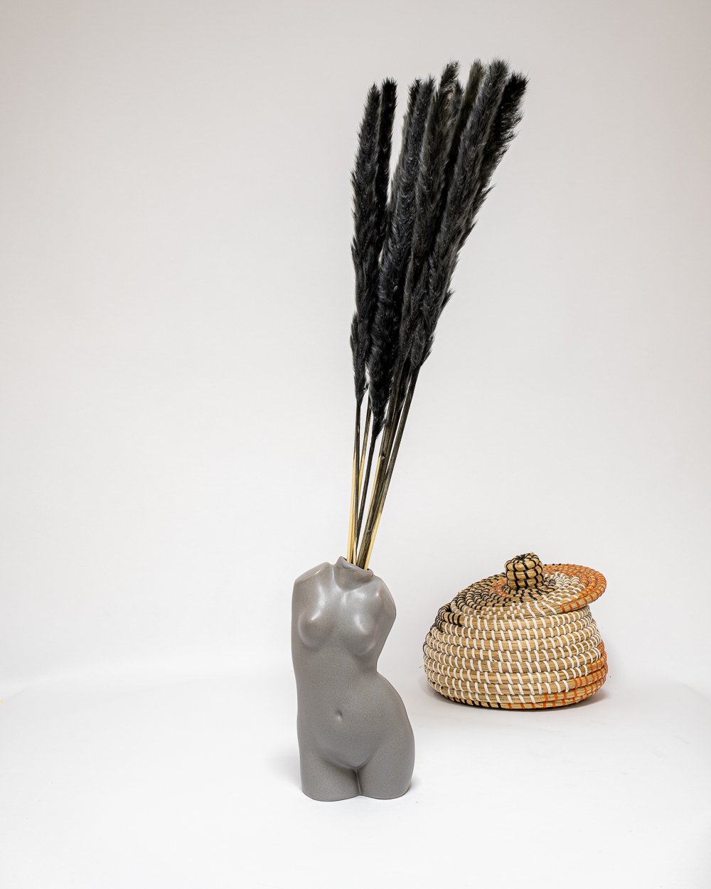 Mini Pampasgräs Svart, Flora Grossist, torkade-blommor