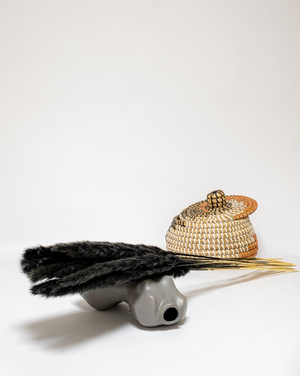 Mini Pampasgräs Svart, Flora Grossist, torkade-blommor