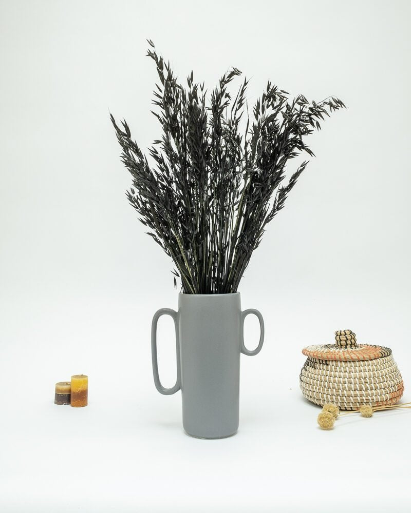 Havre Svart – Torkade Blommor, Flora Grossist, torkade-blommor