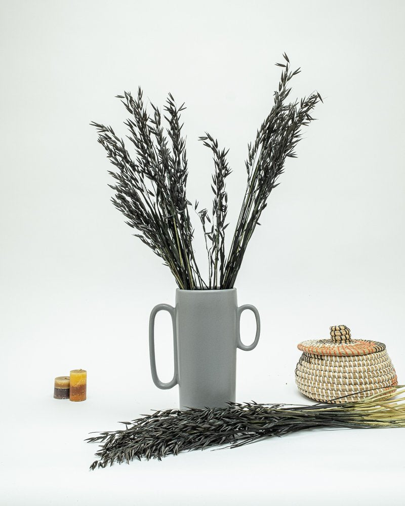 Havre Svart – Torkade Blommor, Flora Grossist, torkade-blommor