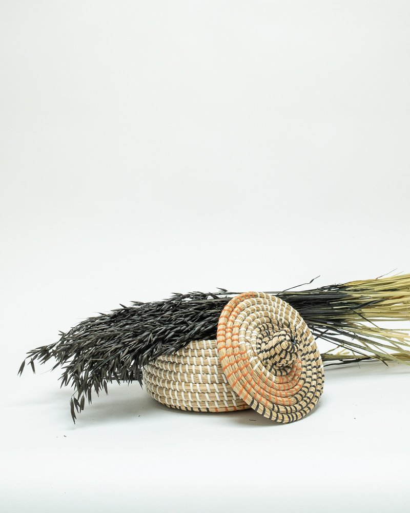 Havre Svart – Torkade Blommor, Flora Grossist, torkade-blommor