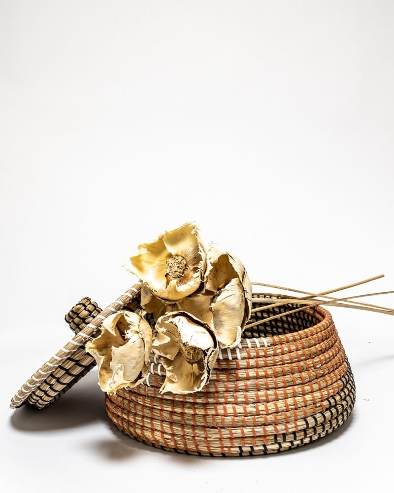 Palmcup Blekt – 3 St., Flora Grossist, torkade-blommor