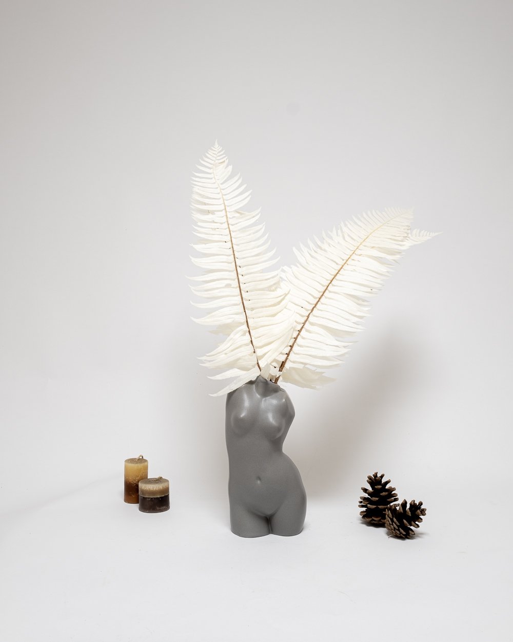 Ormbunke Blekt Vit – Konserverade Växter, Flora Grossist, torkade-blommor