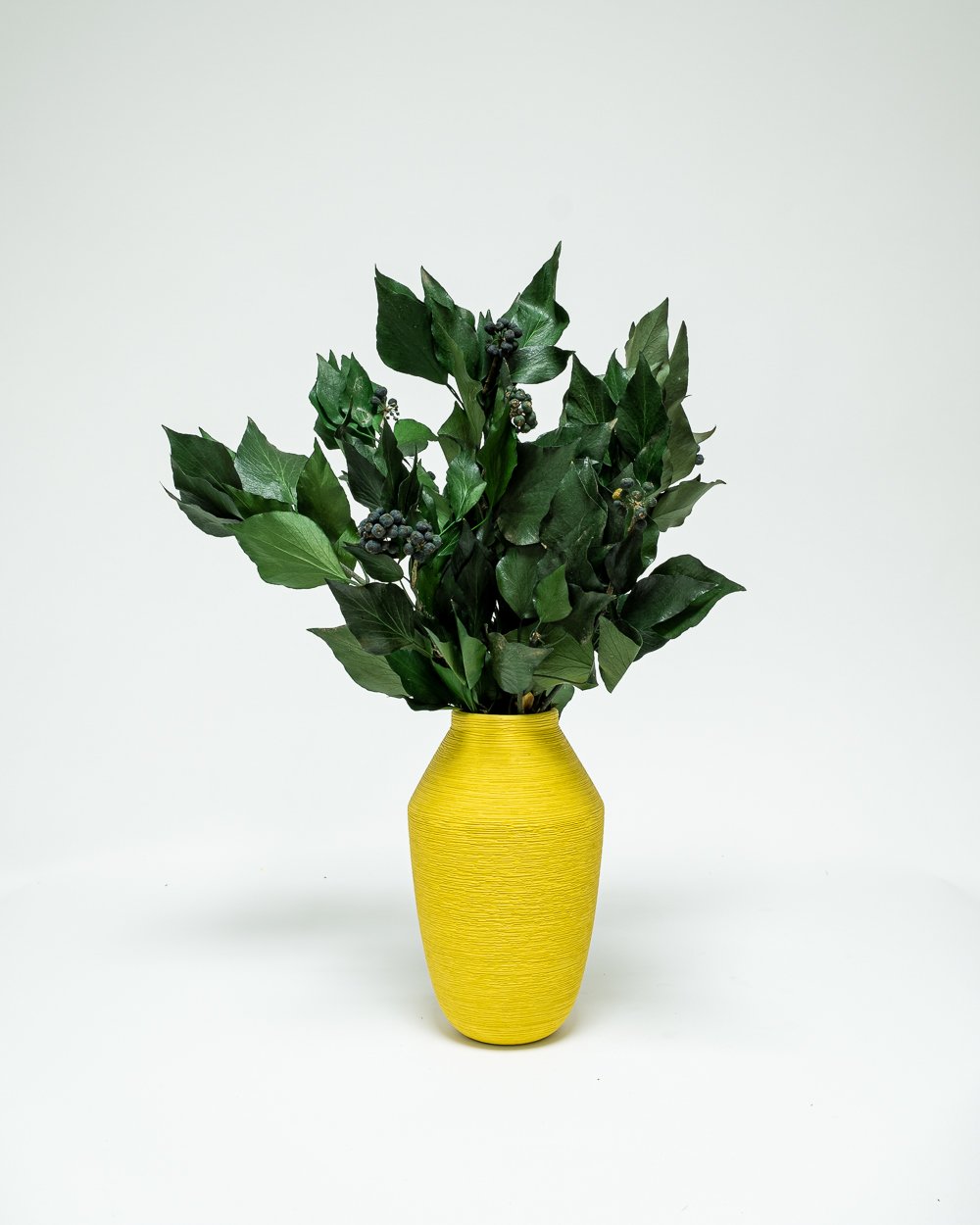 Murreva Frukt – Ivy – Konserverade Växter, Flora Grossist, konserverade-blommor