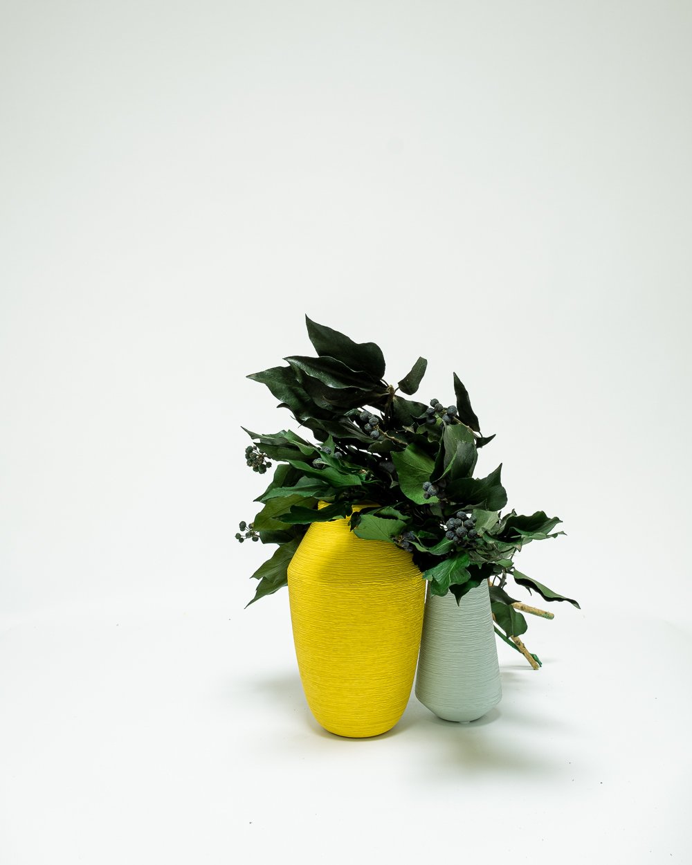 Murreva Frukt – Ivy – Konserverade Växter, Flora Grossist, konserverade-blommor