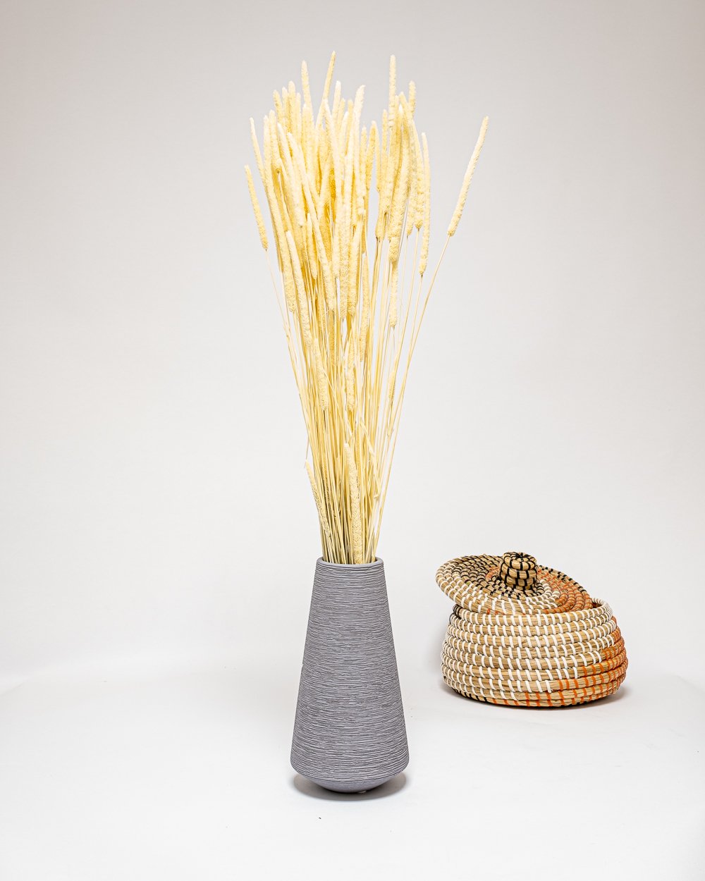 Phleum Blekt Vit – Torkade Blommor, Flora Grossist, torkade-blommor