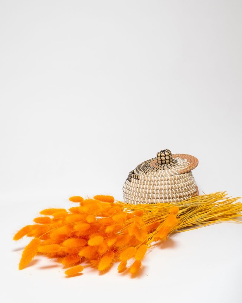 Lagurus Blekt Orange – 100 Gram, Flora Grossist, torkade-blommor