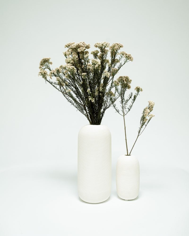 Diosmi Vit – Konserverade Blommor, Flora Grossist, torkade-blommor