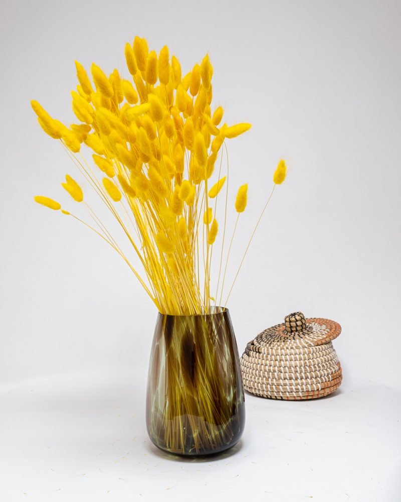 Lagurus Blekt Gul – 100 Gram, Flora Grossist, torkade-blommor