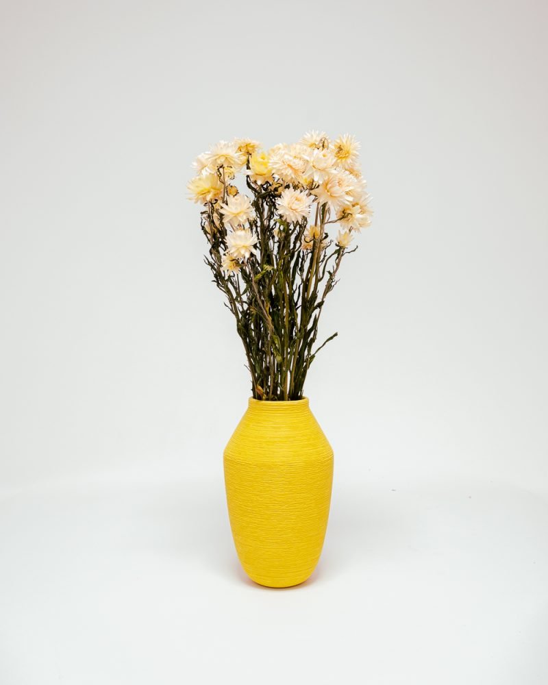 Jätte Eternell Helichrysum Vit – Torkade Blommor, Flora Grossist, torkade-blommor