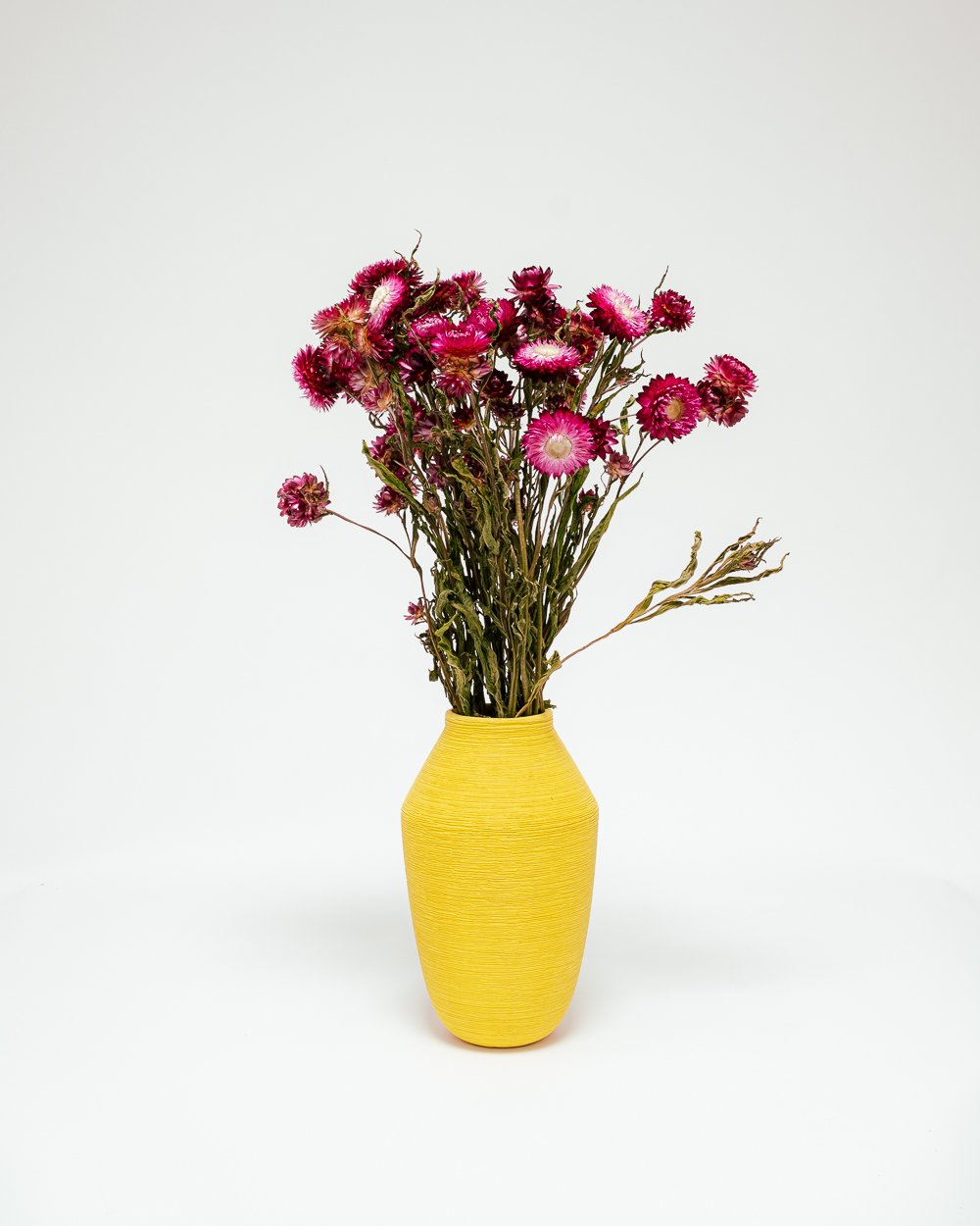 Jätte Eternell Helichrysum Mörk Rosa – Torkade Blommor, Flora Grossist, torkade-blommor