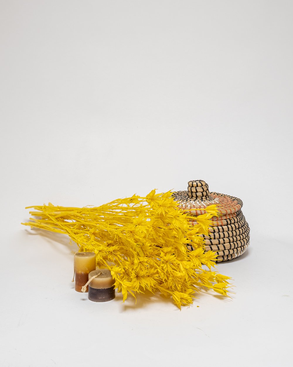 Nigella Orientalis Blekt Gul – 100 Gram, Flora Grossist, torkade-blommor