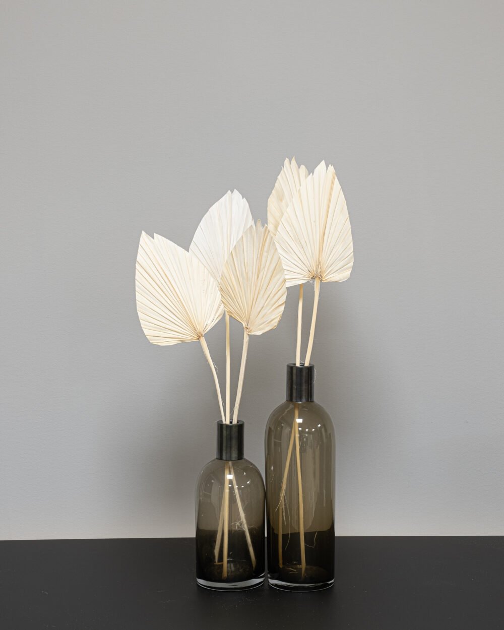 Palm Spear Blekt Vit – 5 St., Flora Grossist, torkade-blommor