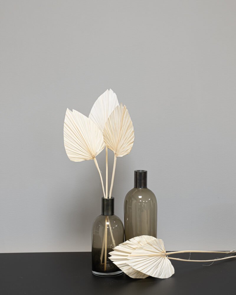 Palm Spear Blekt Vit – 5 St., Flora Grossist, torkade-blommor