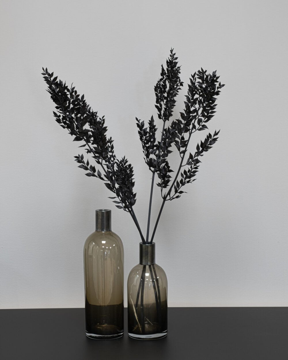 Ruscus Svart – Torkade Blommor, Flora Grossist, torkade-blommor