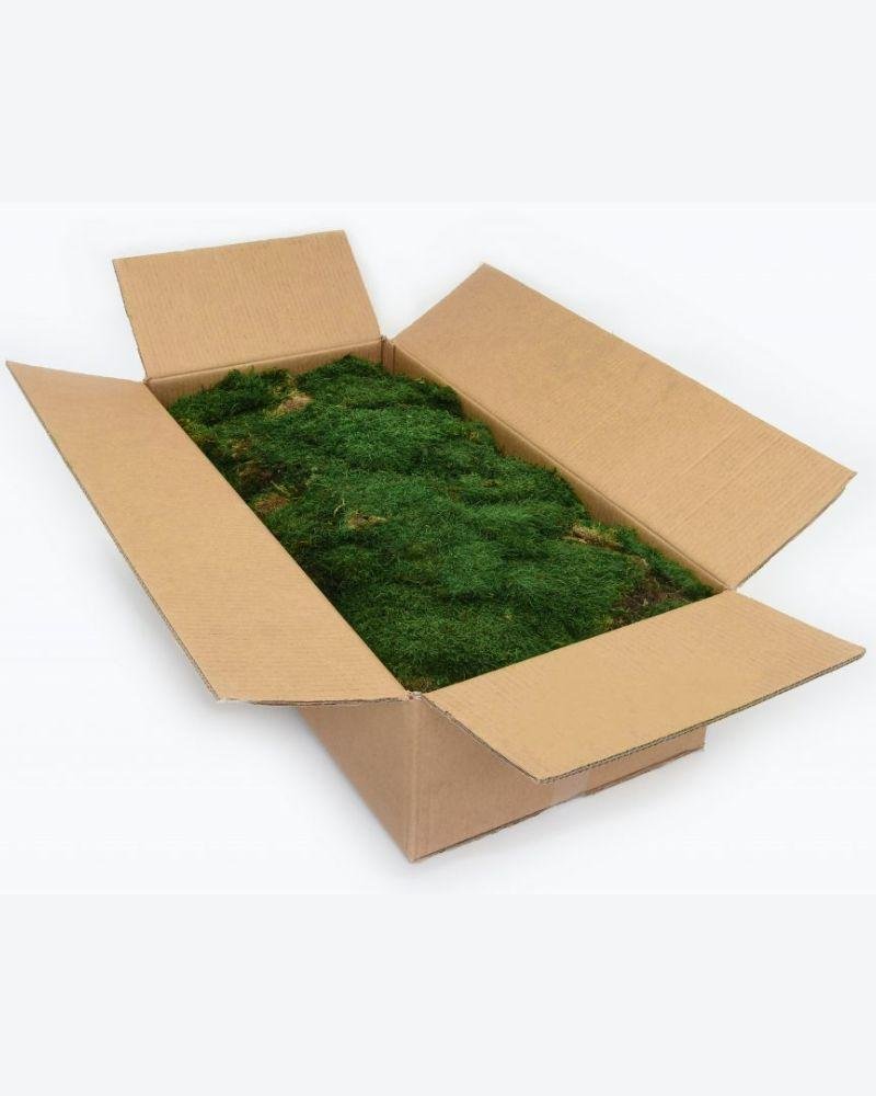 Mossplatta Grön – Bulk– Konserverade Mossa, Flora Grossist, konserverade-blommor