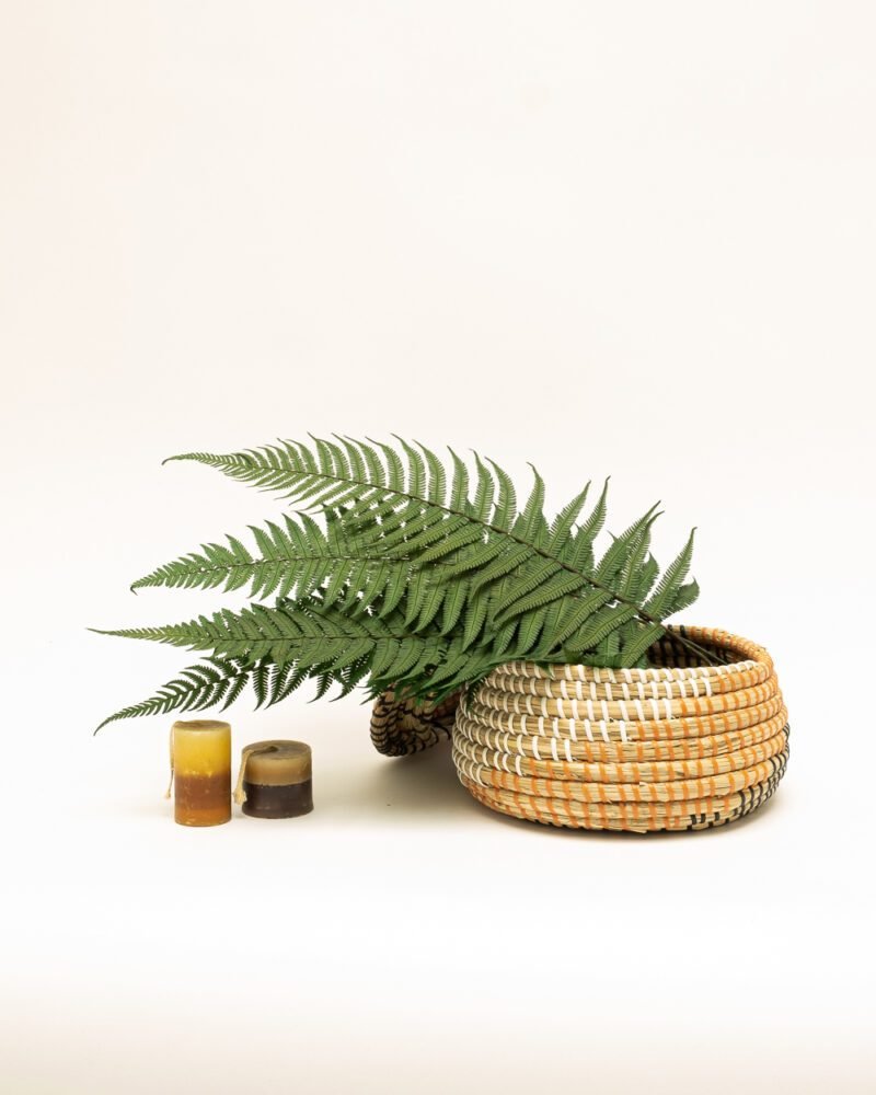 Ormbunke Grön- 5 St., Flora Grossist, konserverade-blommor