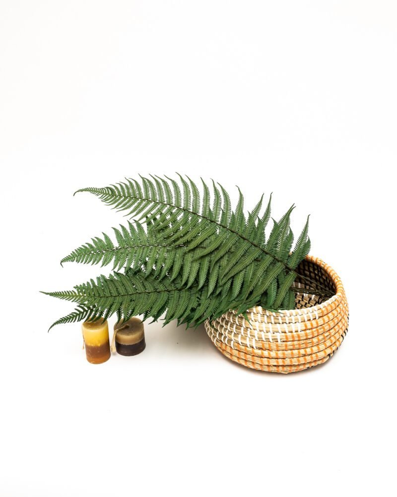 Ormbunke Grön- 5 St., Flora Grossist, konserverade-blommor