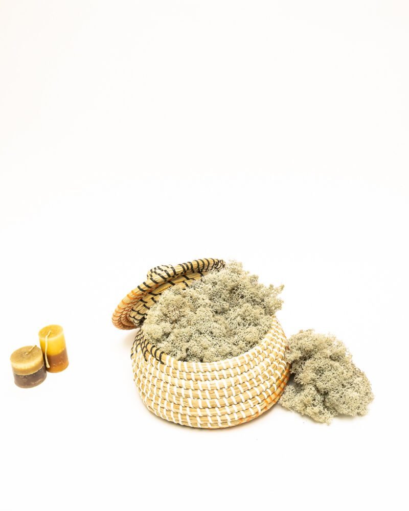 Reindeer Mossa Naturell – Konserverade Mossa, Flora Grossist, konserverade-blommor