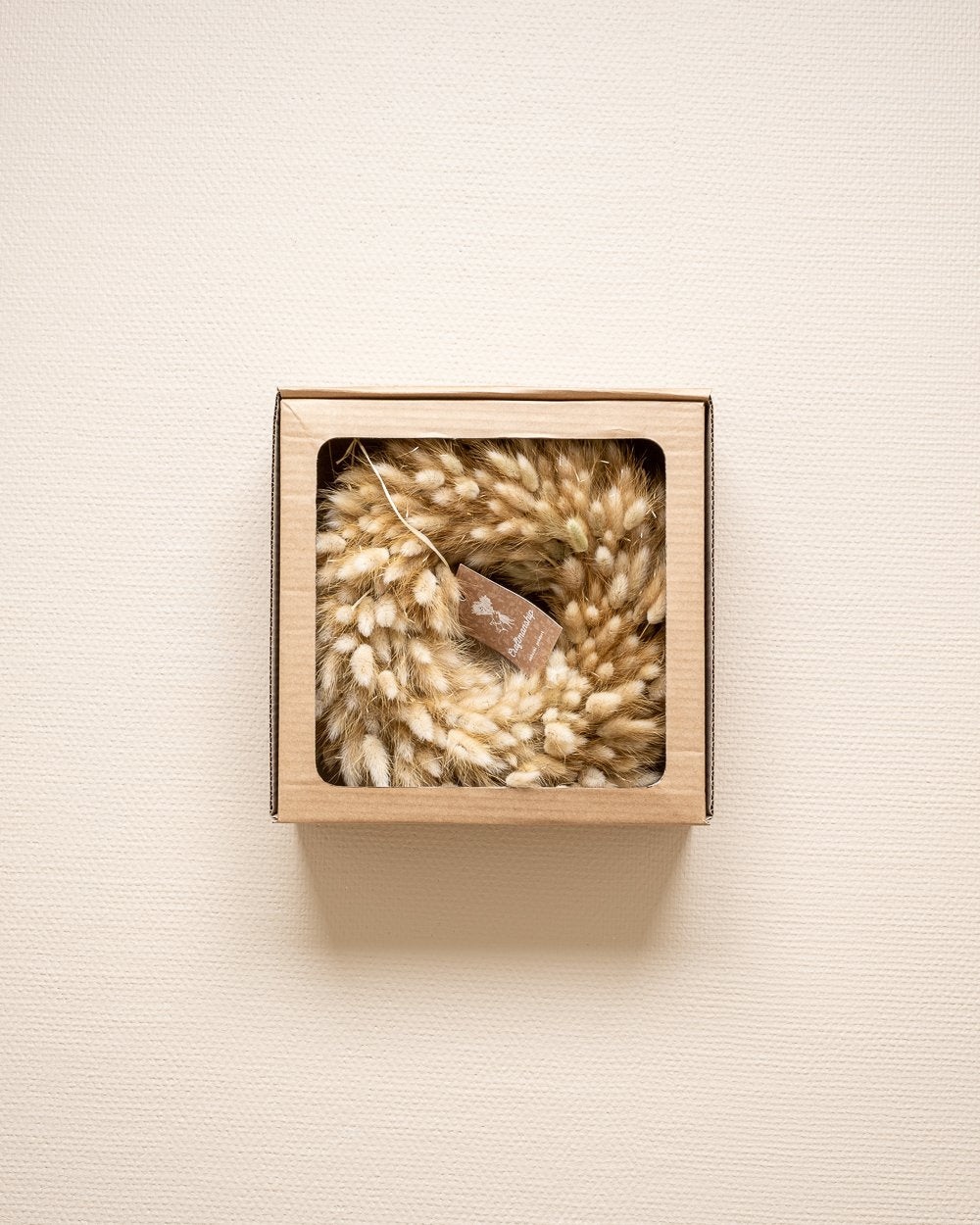 Lagurus Krans Naturell – Torkade Blommor, Flora Grossist, torkade-blommor