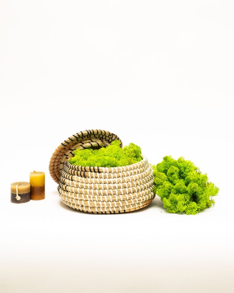 Reindeer Mossa Ljus Grön – Konserverade Mossa, Flora Grossist, konserverade-blommor