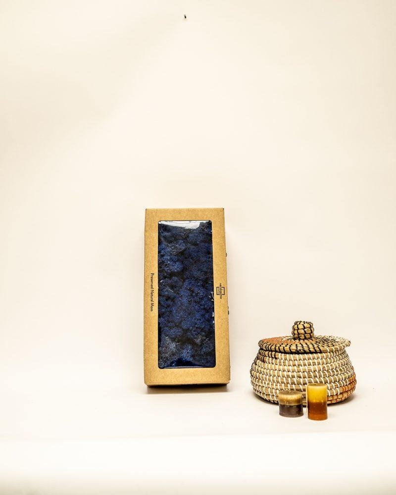 Reindeer Mossa Mörkblå – Konserverade Mossa, Flora Grossist, konserverade-blommor