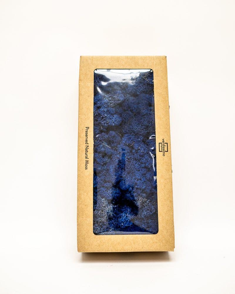 Reindeer Mossa Mörkblå – Konserverade Mossa, Flora Grossist, konserverade-blommor