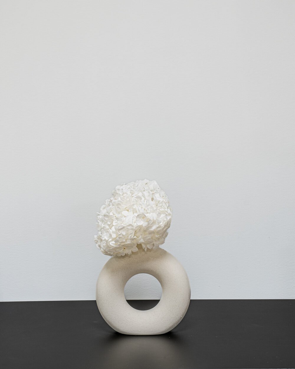 Konserverade Hortensia Premium, Flora Grossist, konserverade-blommor