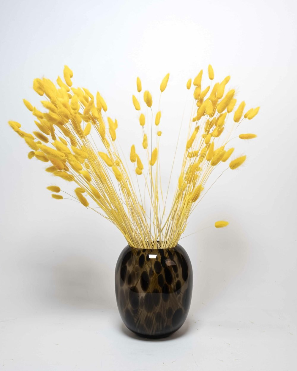 Lagurus Blekt Gul – 100 Gram, Flora Grossist, torkade-blommor