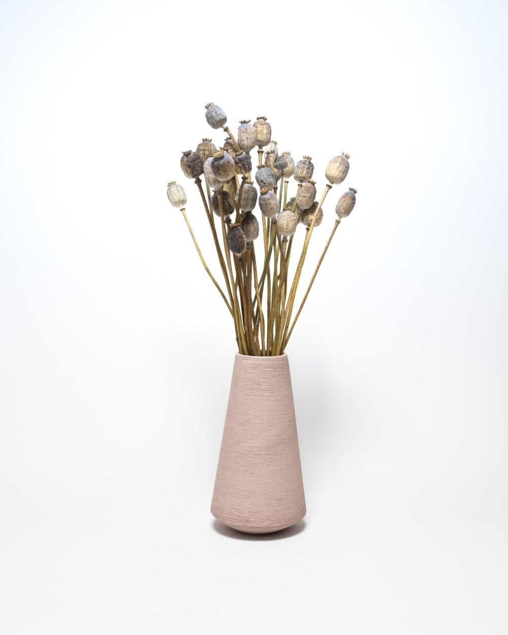 Vallmo Naturell – Torkade Blommor, Flora Grossist, torkade-blommor