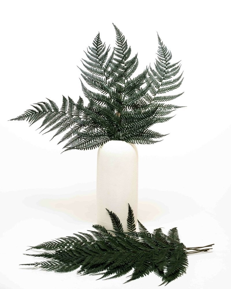 Ormbunke Brilliant – Konserverade Växter, Flora Grossist, torkade-blommor