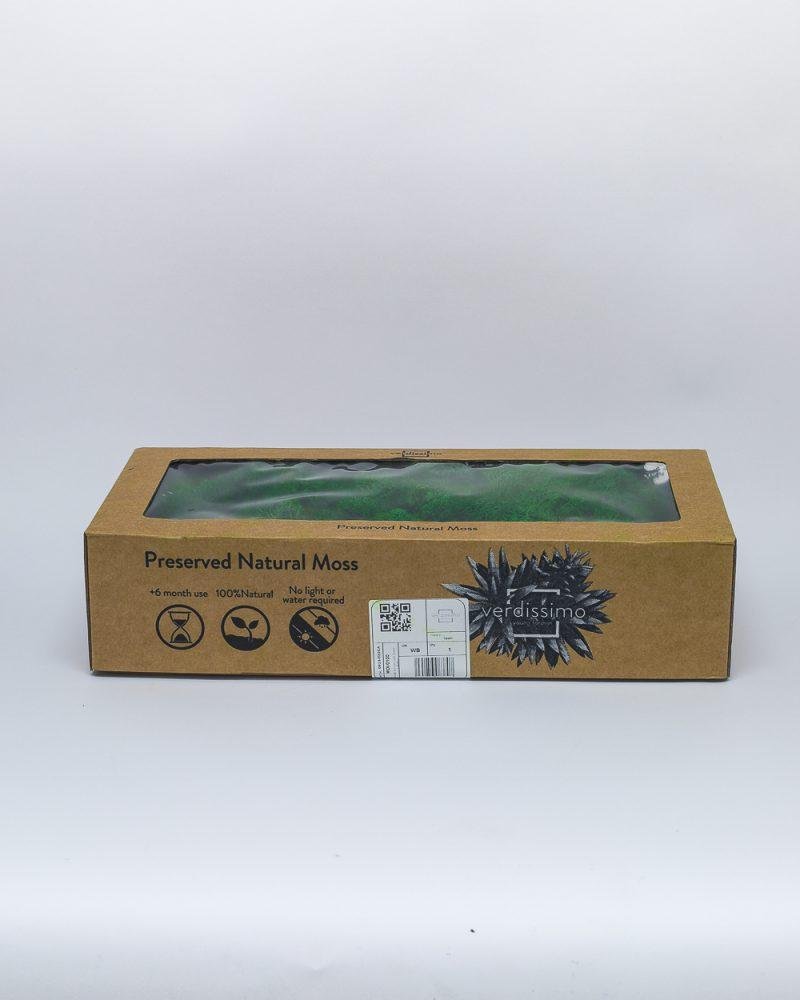 Reindeer Mossa Mörk Grön – Konserverade Mossa, Flora Grossist, konserverade-blommor