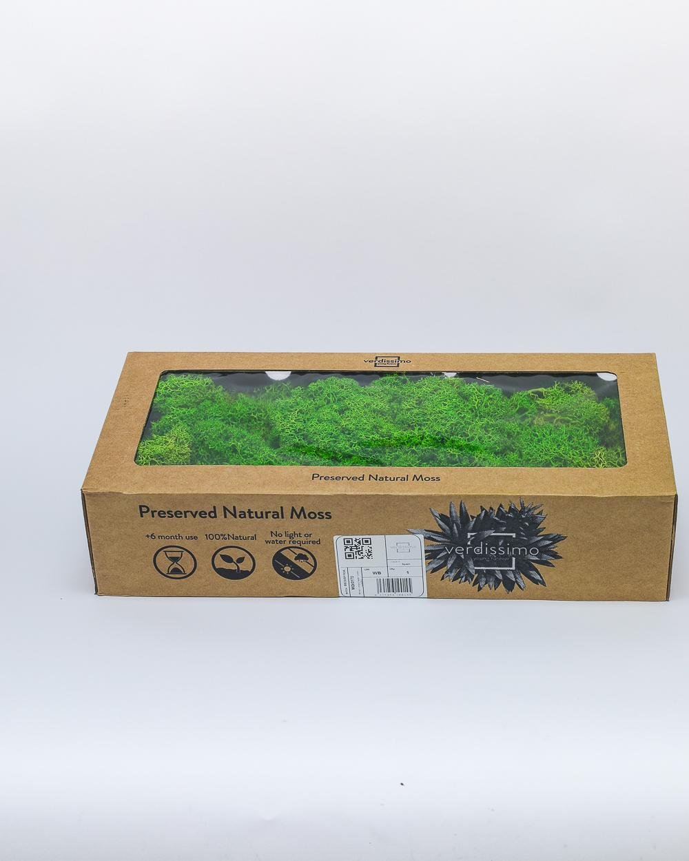 Reindeer Mossa Äpple Grön – Konserverade Mossa, Flora Grossist, konserverade-blommor