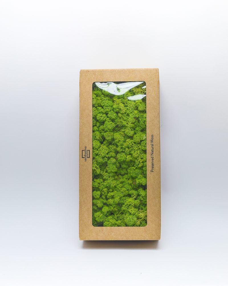 Reindeer Mossa Ljus Grön – Konserverade Mossa, Flora Grossist, konserverade-blommor