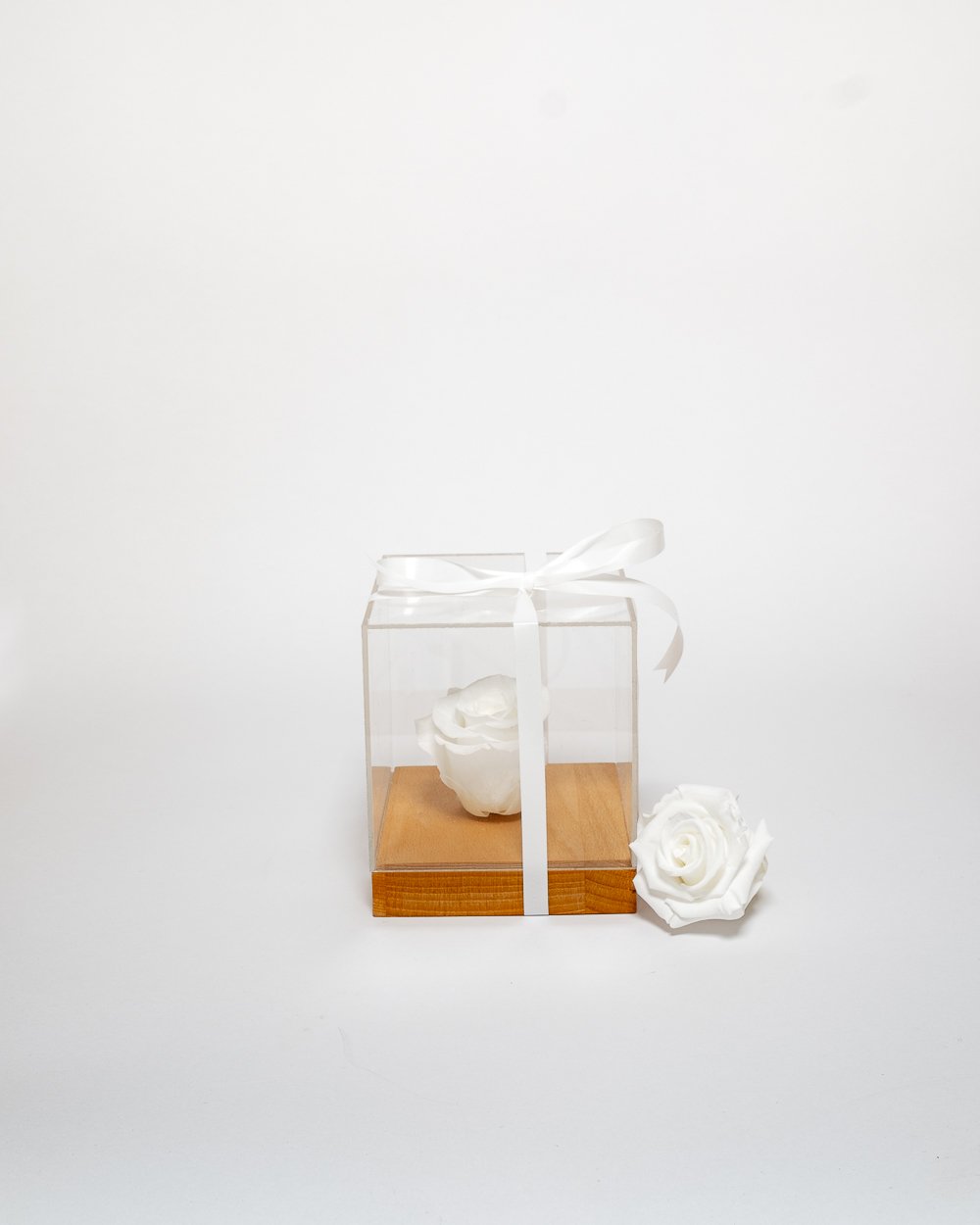 Giftbox – Singel Evighetsros 10×10 Cm, Flora Grossist, konserverade-blommor
